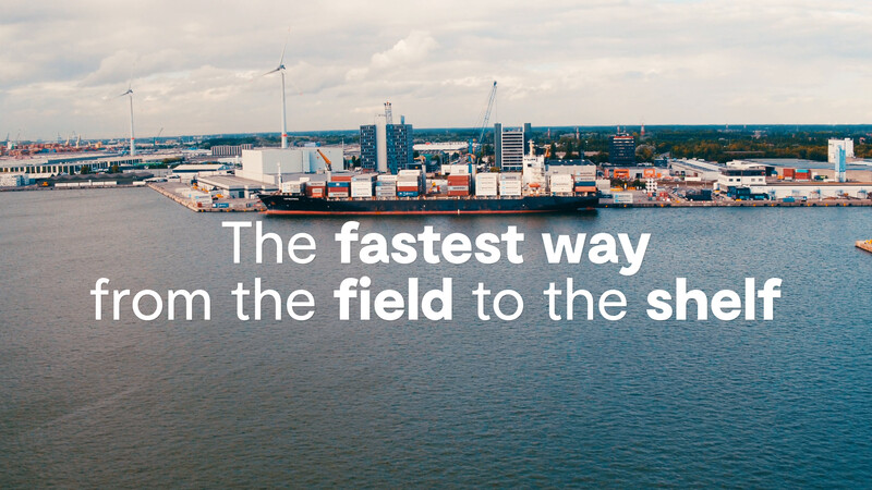 Perishable goods, such as fruit and vegetables, travel the world in many ways. In containers or via roll-on roll-off cargo, in bulk or reefer ships.